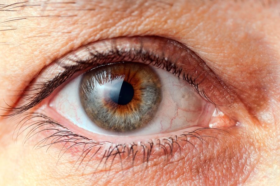 Eye Macro