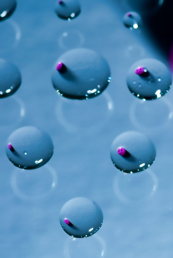 Tiny Bubbles