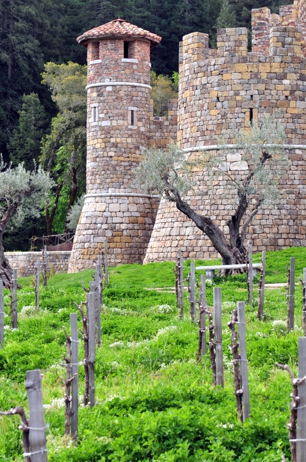 Castello Di Amorosa