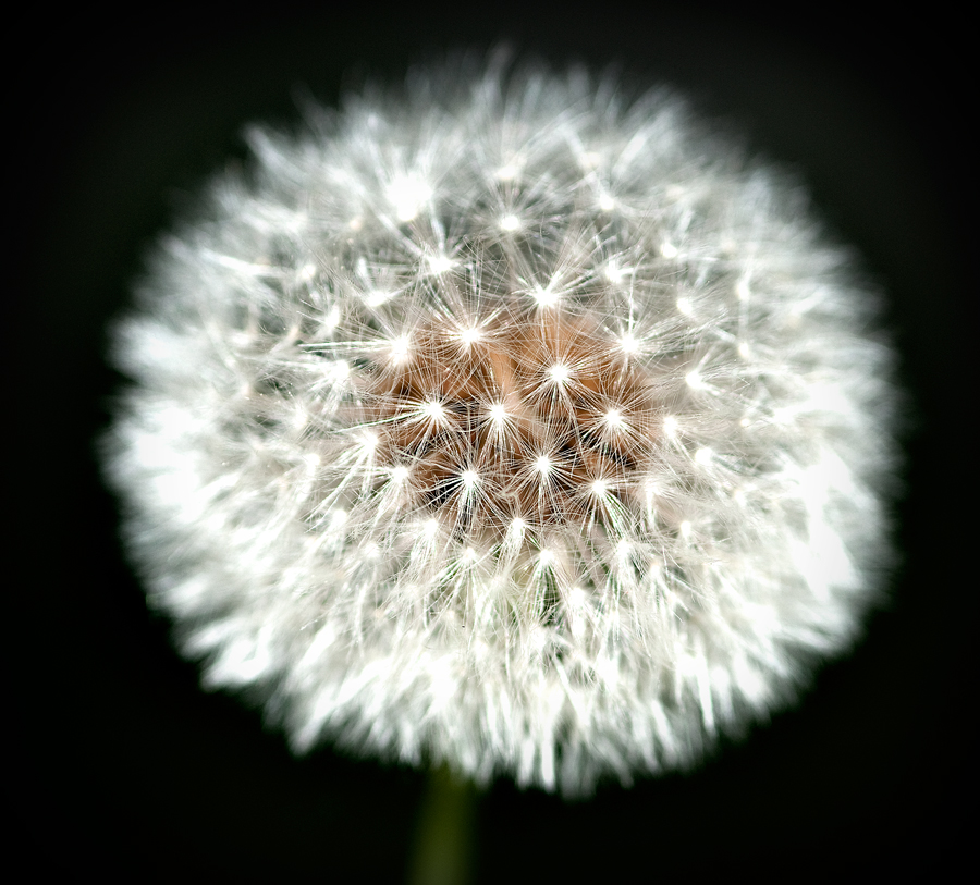 ?151.365.2011