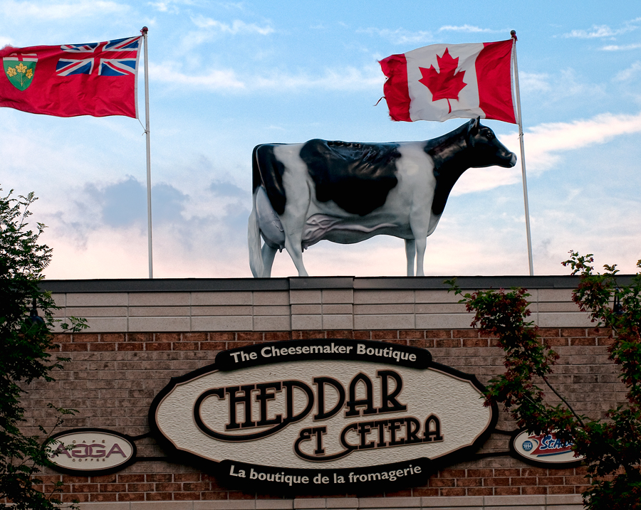 Holy cow! The sign can stay!