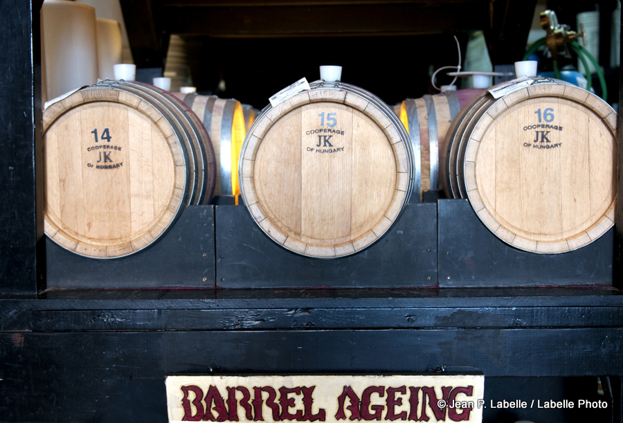 The Wine Bottega_3