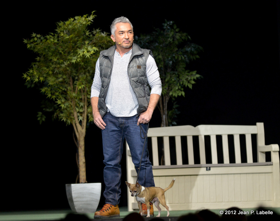 Cesar Millan