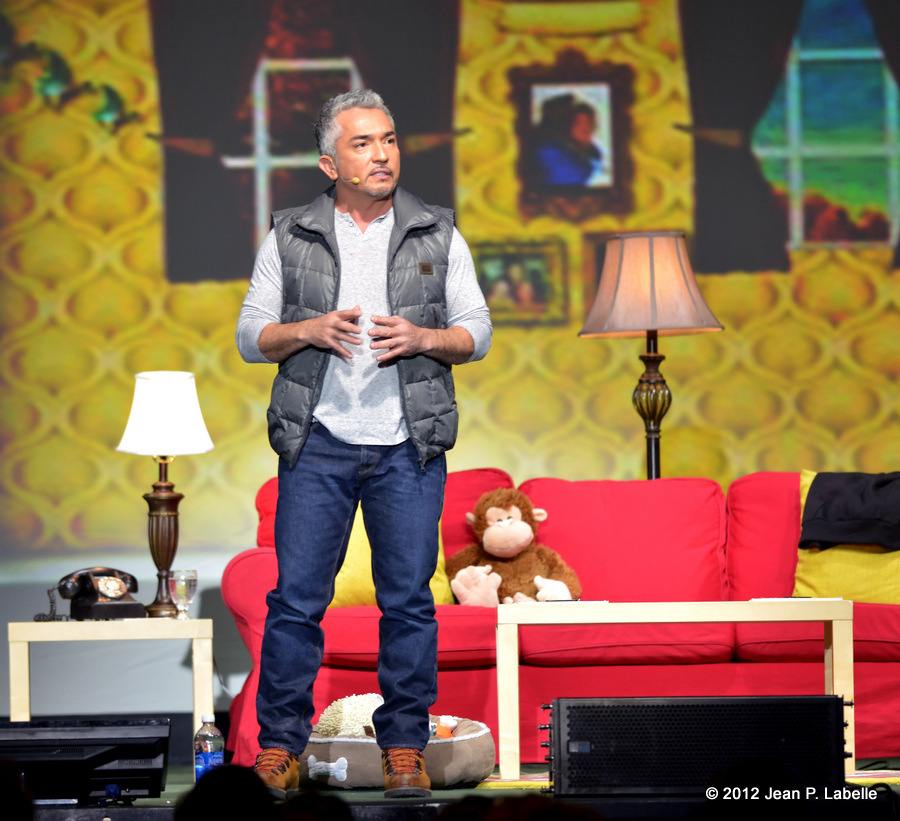 Cesar Millan