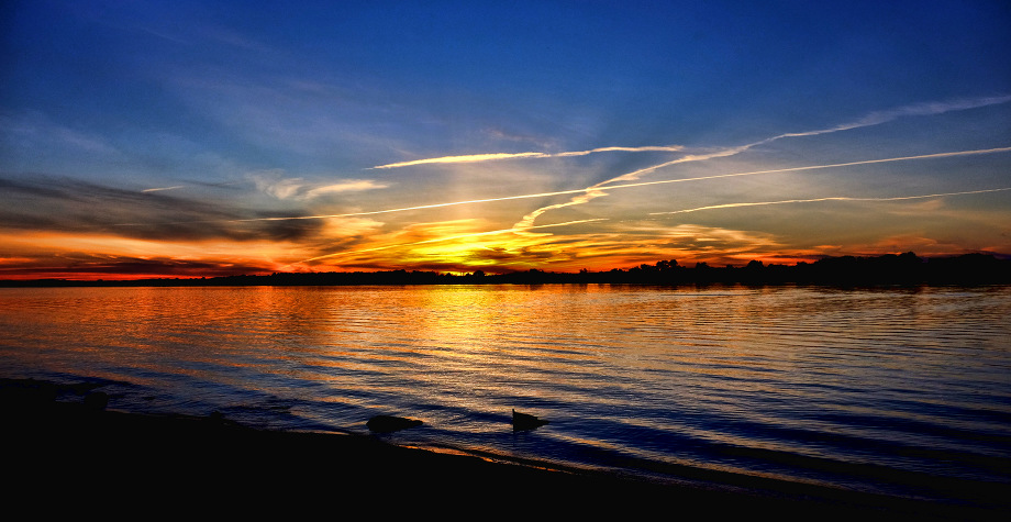 A Beautiful Evening At Petrie Island